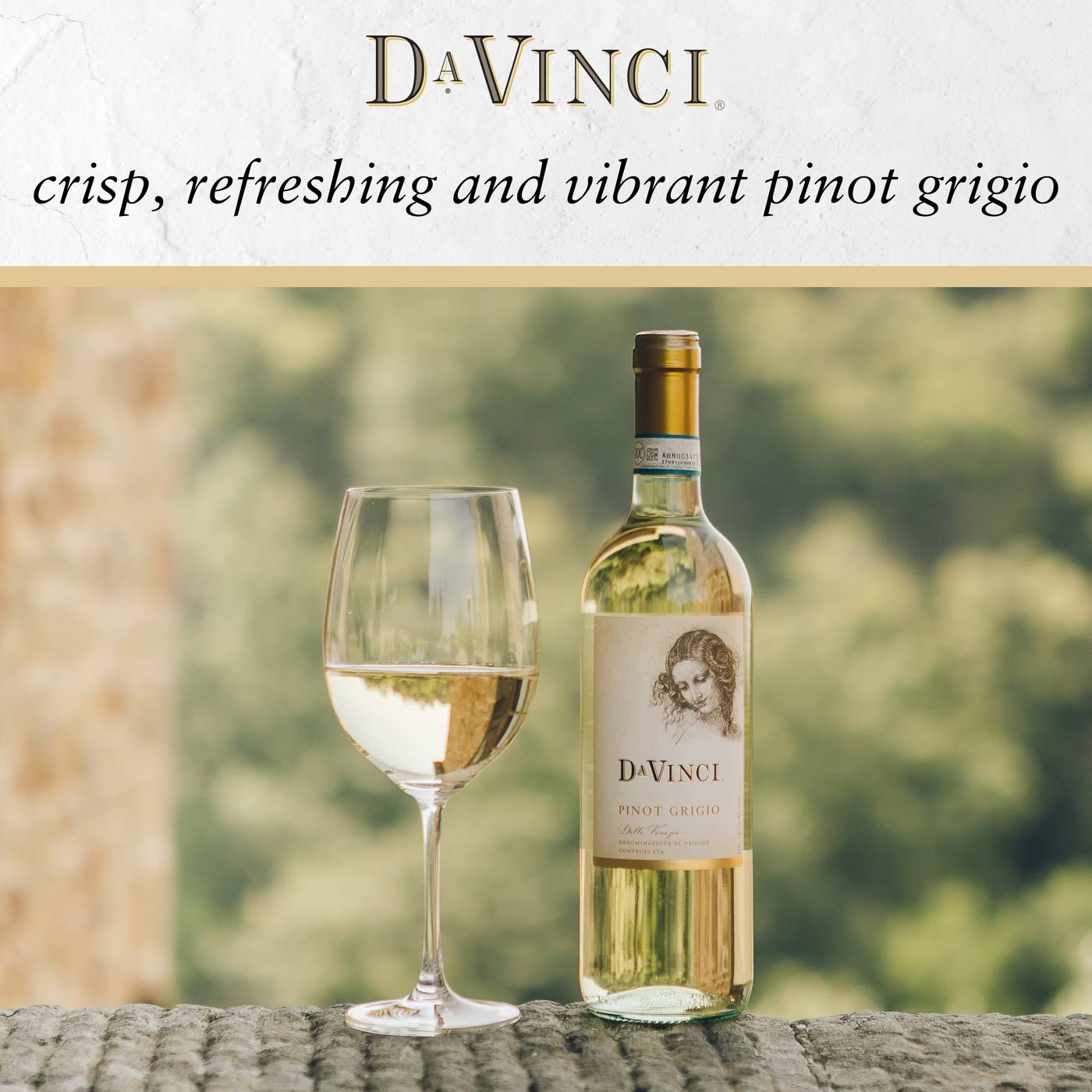 DaVinci Pinot Grigio Italian White Wine; image 3 of 6