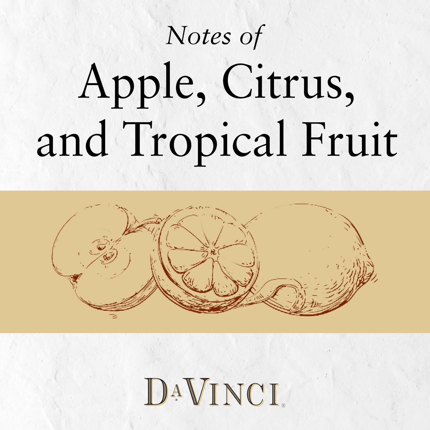 DaVinci Pinot Grigio Italy White Wine; image 5 of 6