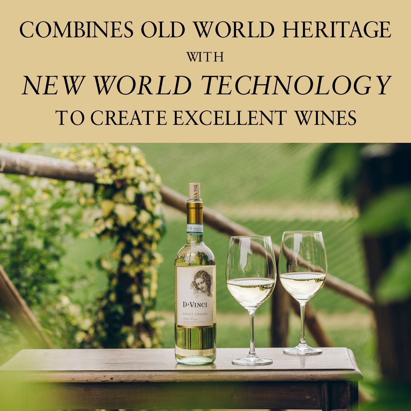 DaVinci Pinot Grigio Italy White Wine; image 6 of 6