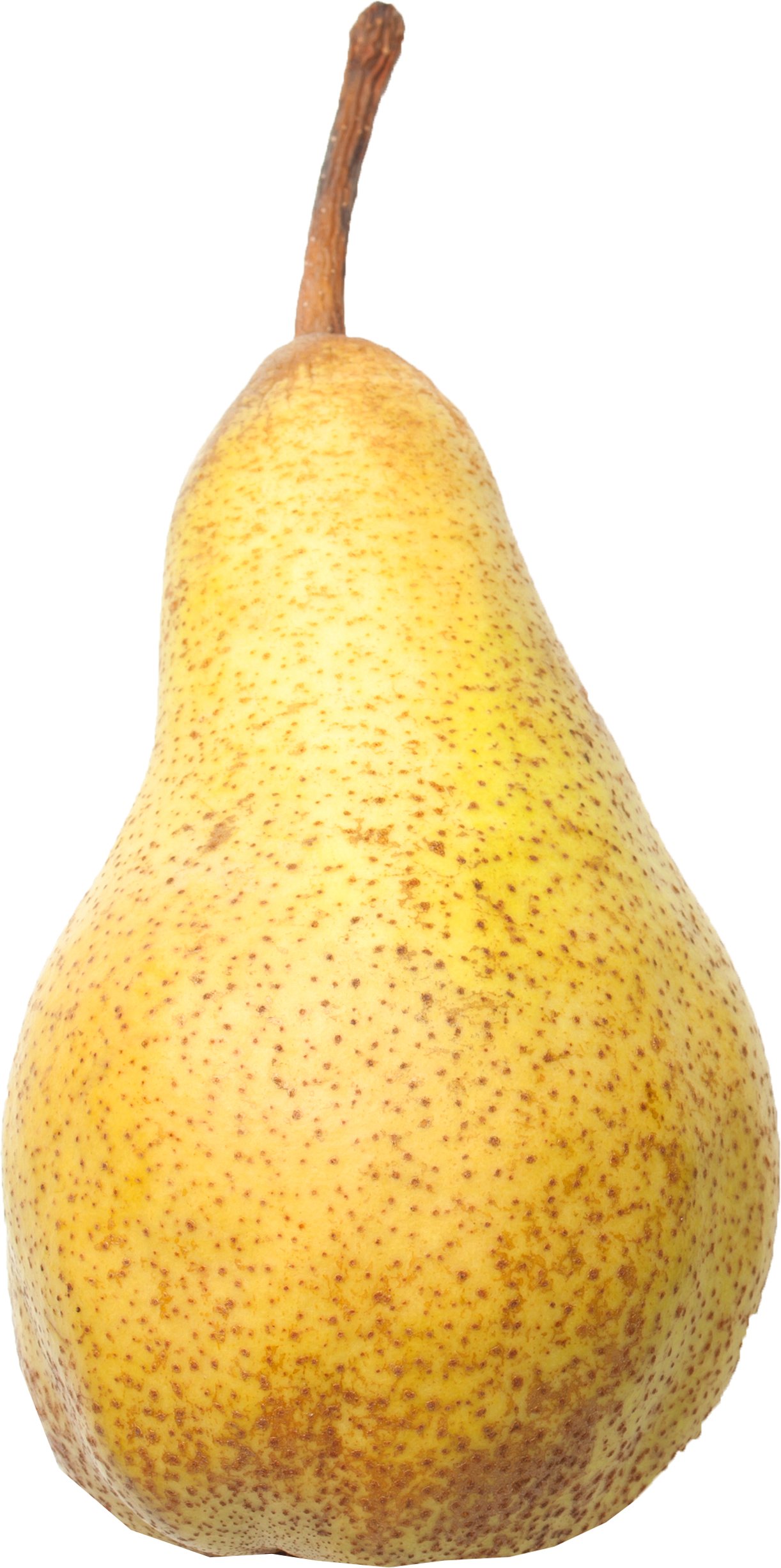 Organic Abate Fetel Pear - Shop Pears at H-E-B