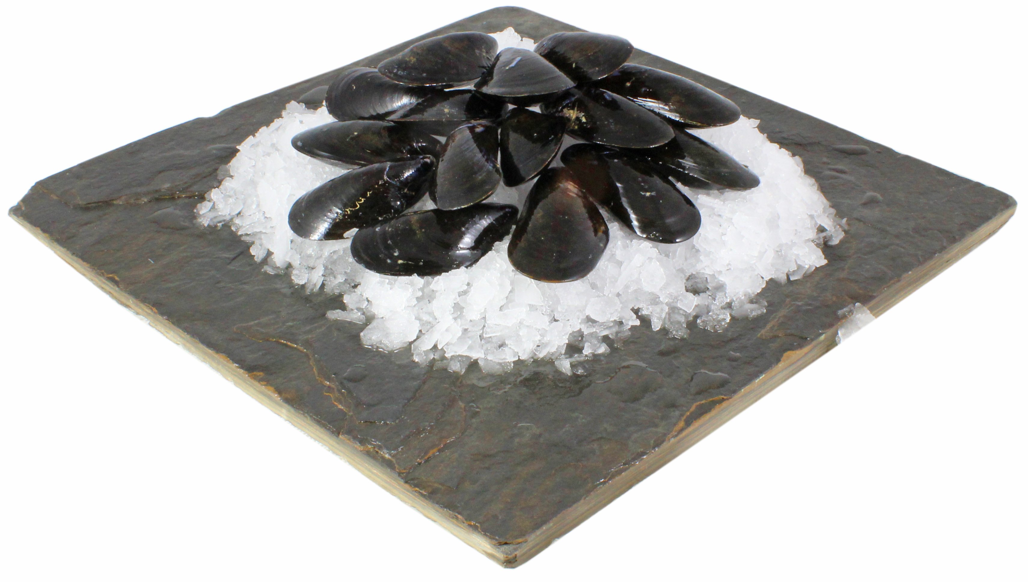 Live Fresh P.E.I. Mussels Shop Shrimp & Shellfish at HEB