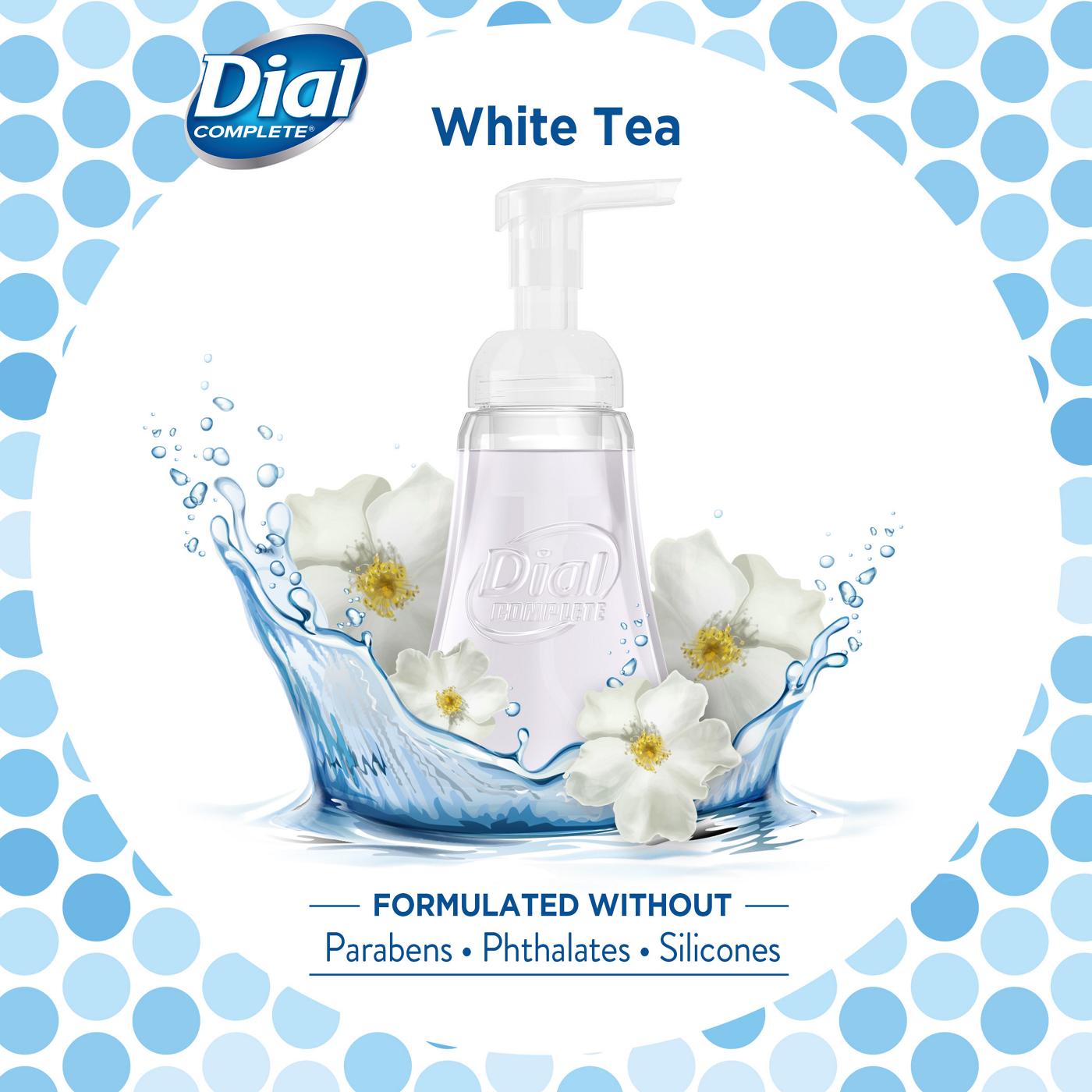 Dial Complete Antibacterial Foaming Hand Wash, Soothing White Tea; image 2 of 7