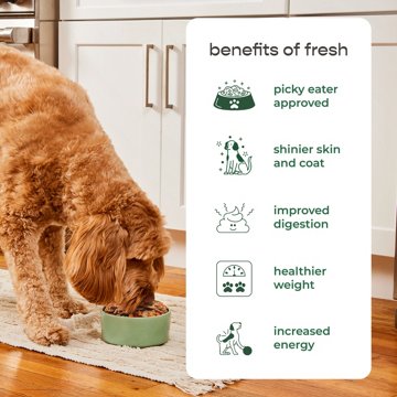 Freshpet Select Healthy & Natural Dog Food - Fresh Beef Roll, 6 lb