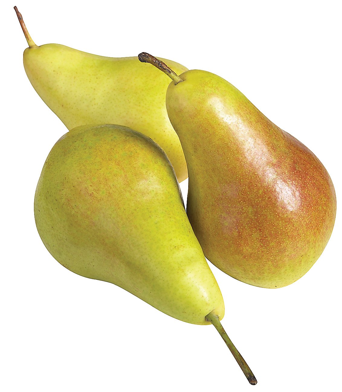 Concorde Pears