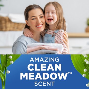 Arm & Hammer Plus OxiClean HE Liquid Laundry Detergent, 74 Loads - Clean Meadow