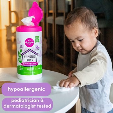 Dapple Baby Fragrance Free All Purpose Cleaning Wipes, 75 ct
