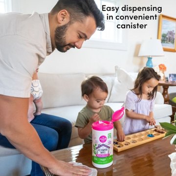 Dapple Baby Fragrance Free All Purpose Cleaning Wipes, 75 ct