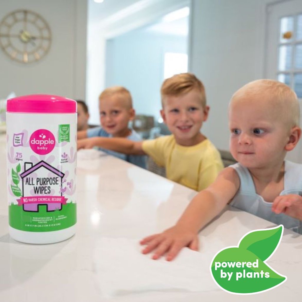 Dapple Baby Fragrance Free All Purpose Cleaning Wipes - Shop