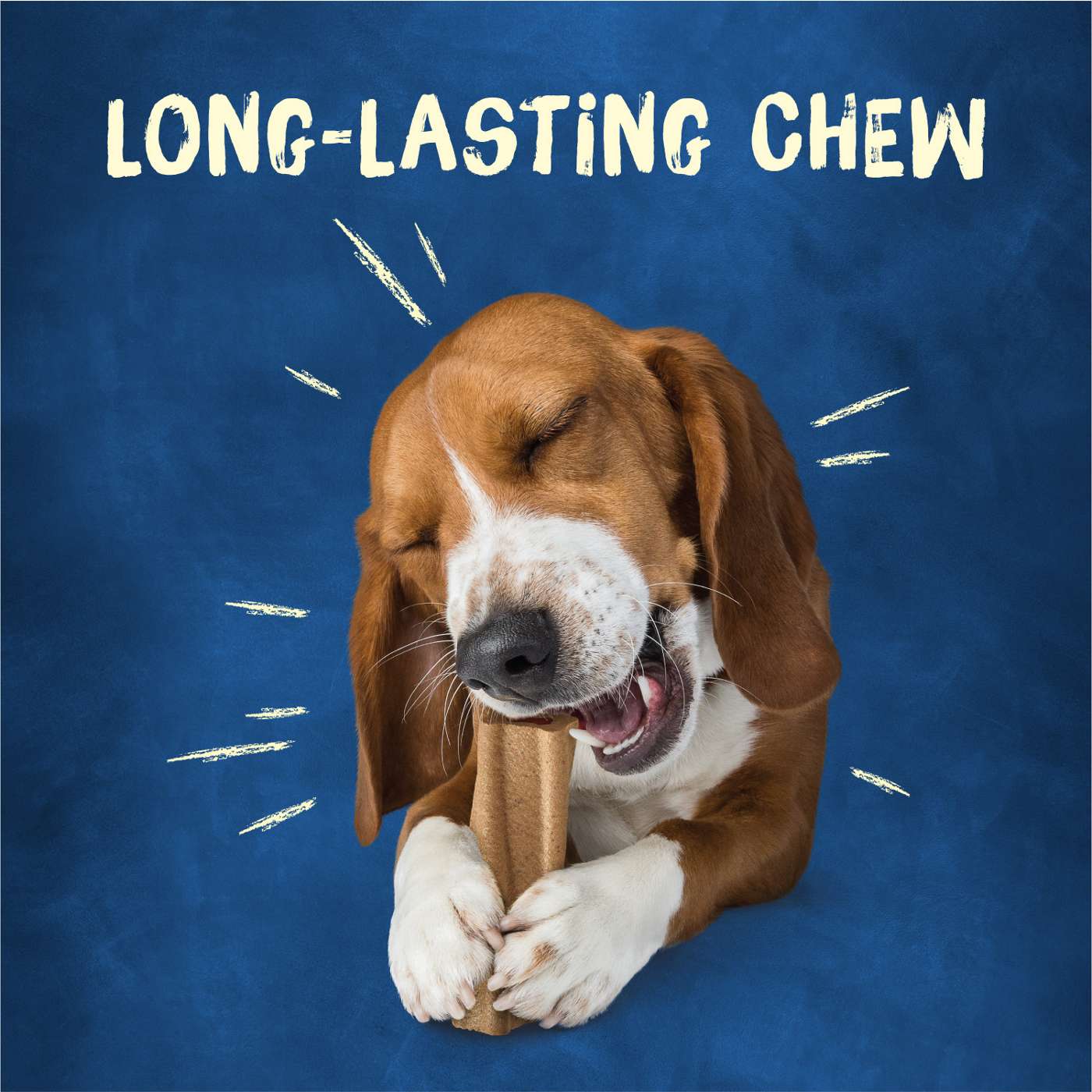 Busy Purina Bone Adult Dog Chew Bone Treats - Original; image 3 of 10