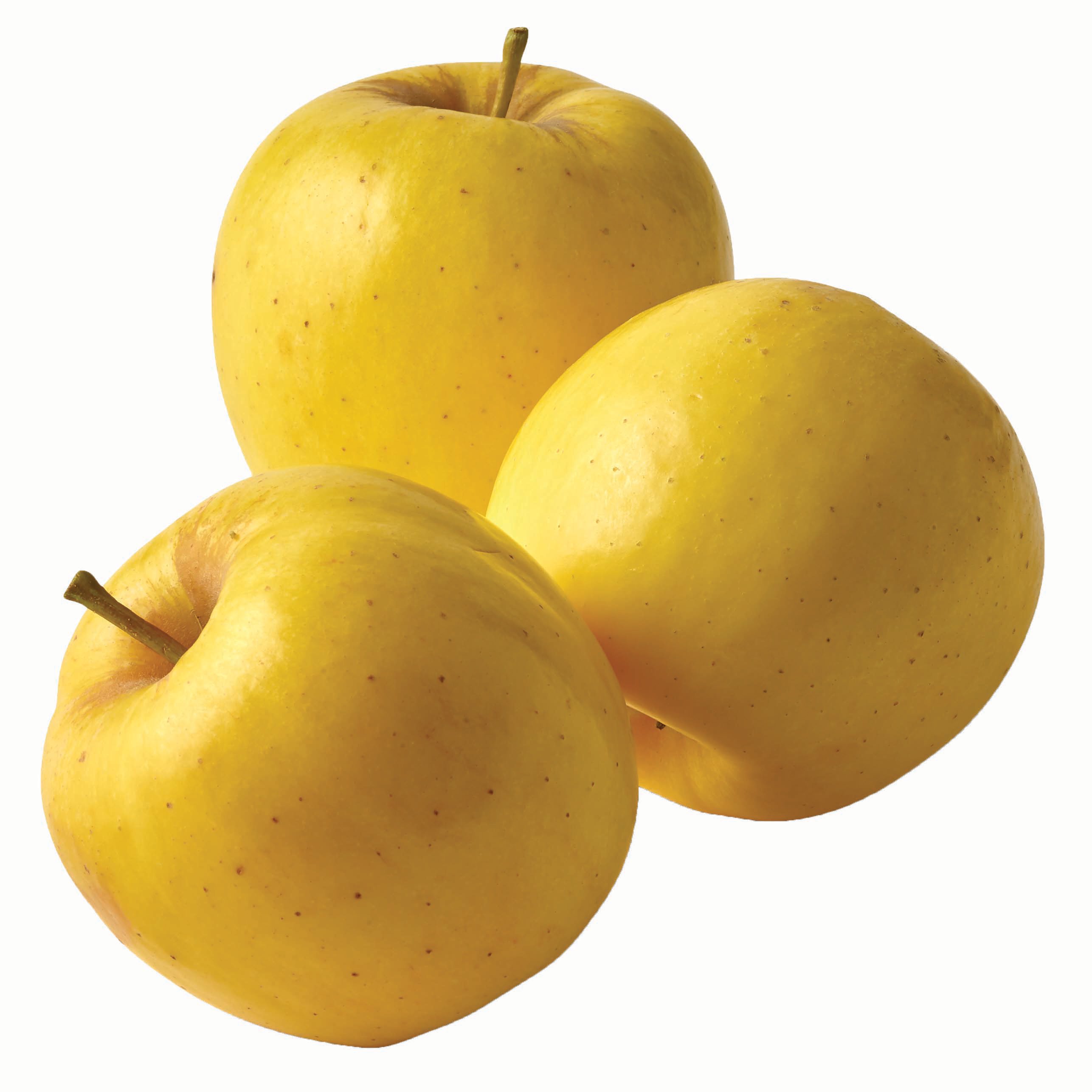 Fresh Opal Gold Apple Shop Apples at HEB