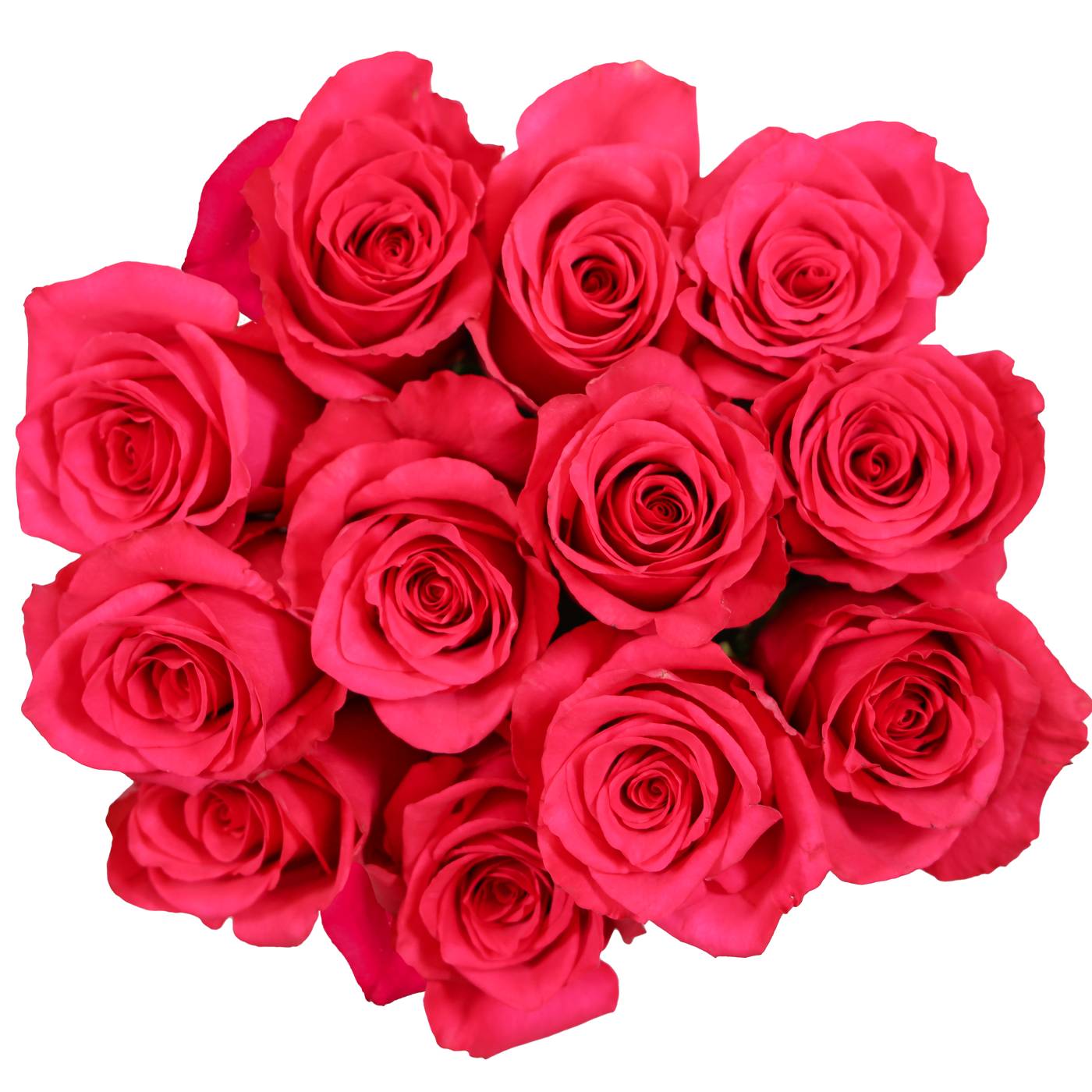 BLOOMS by H-E-B Dozen Pink Roses; image 2 of 3