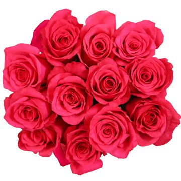 BLOOMS by H-E-B Dozen Pink Roses