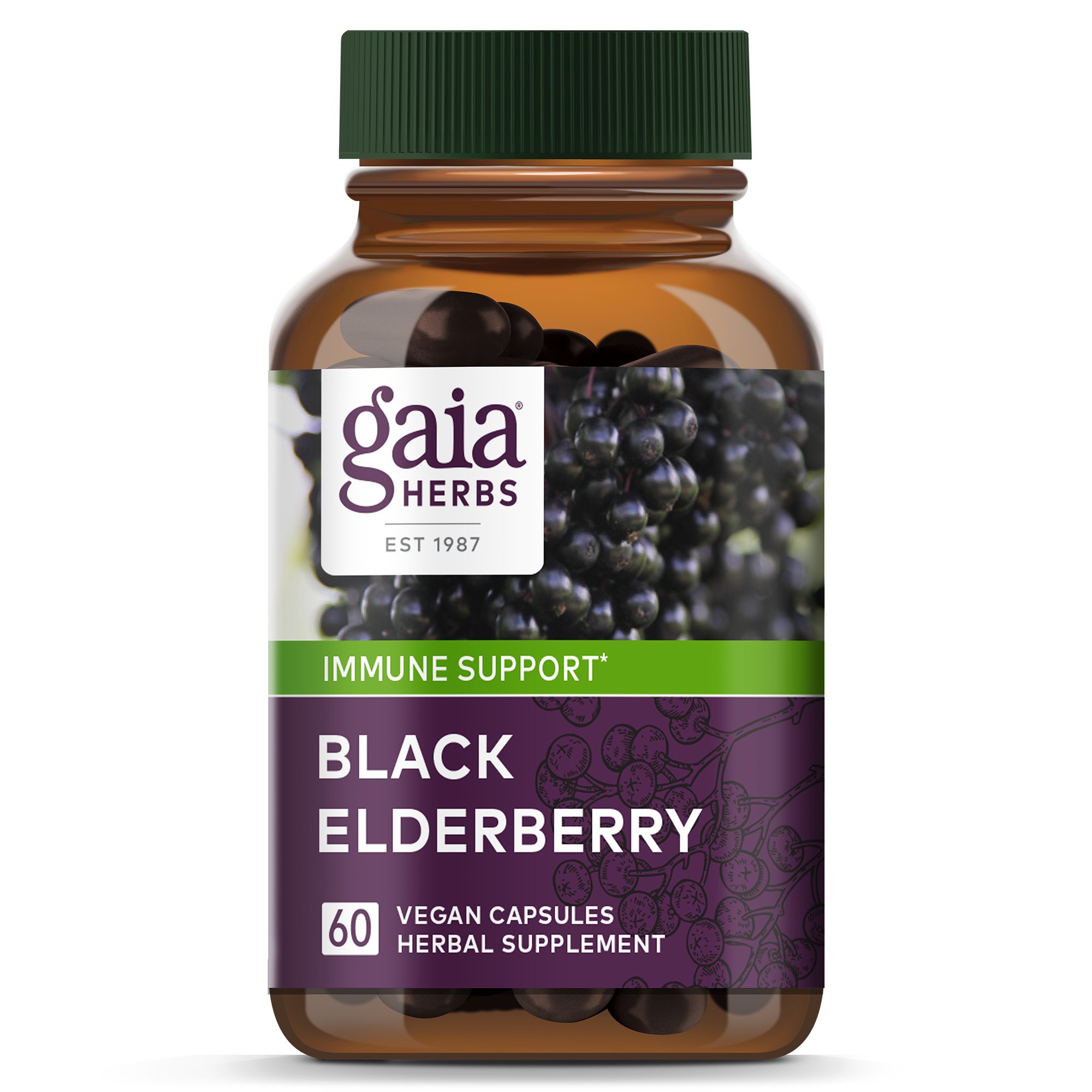 Gaia Herbs Single Herbs Black Elderberry Vegetarian Liquid Phyto