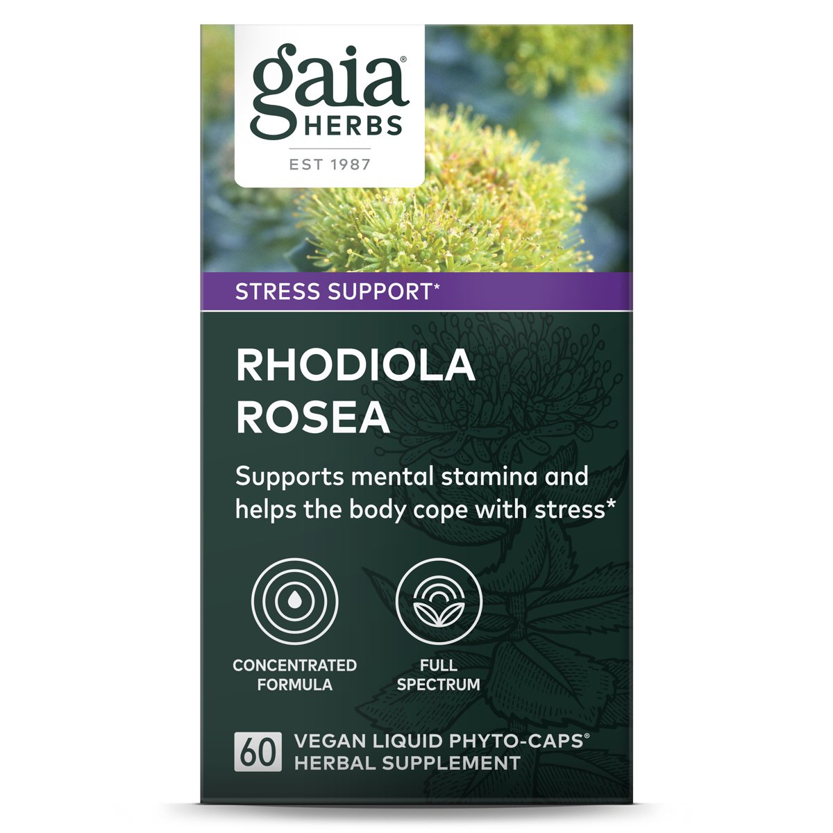 Gaia Herbs Single Herbs Rhodiola Rosea Vegetarian Liquid Phyto-Caps, 60 ct