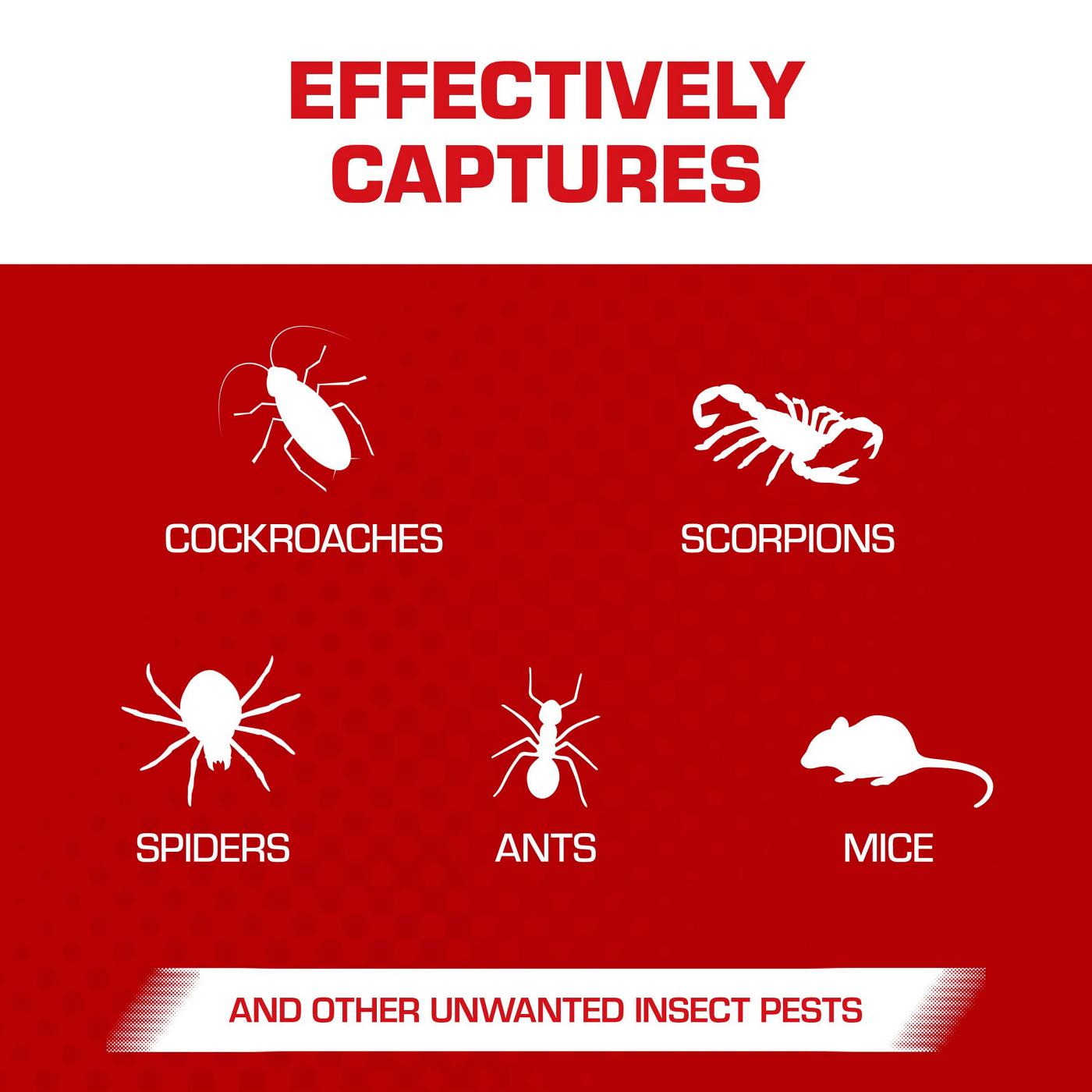 Tomcat Glue Boards with Eugenol; image 2 of 10