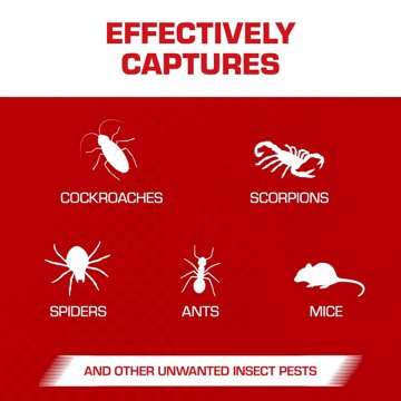 Tomcat Glue Boards with Eugenol, 4 ct