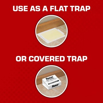 Tomcat Glue Boards with Eugenol, 4 ct