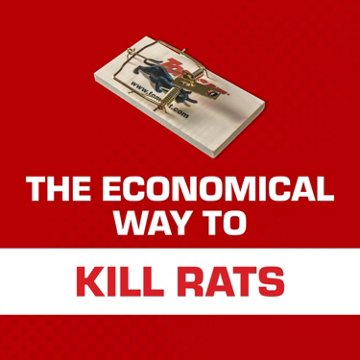 Tomcat Wooden Rat Trap