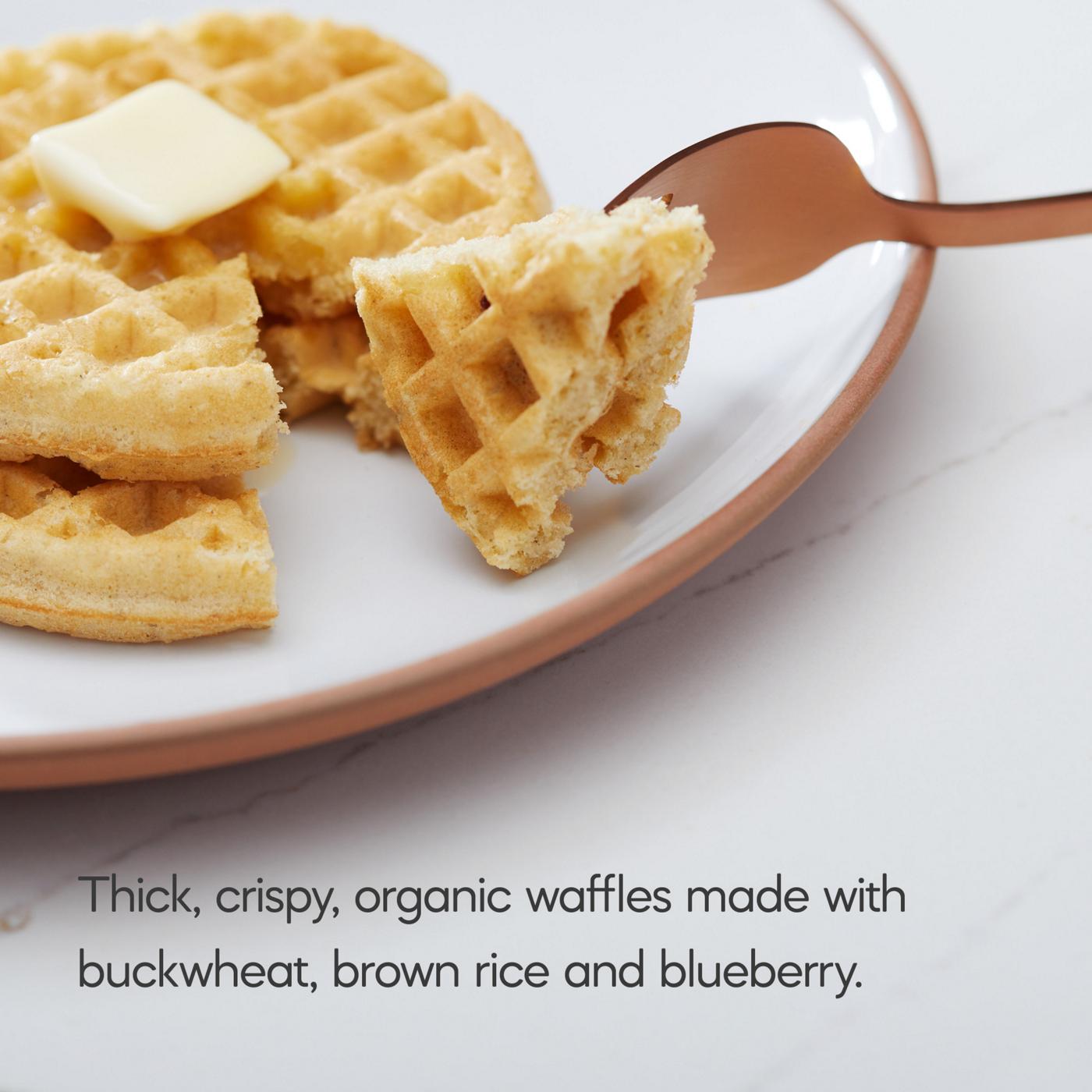 Nature's Path Organic Gluten Free Frozen Waffles Buckwheat Wildberry