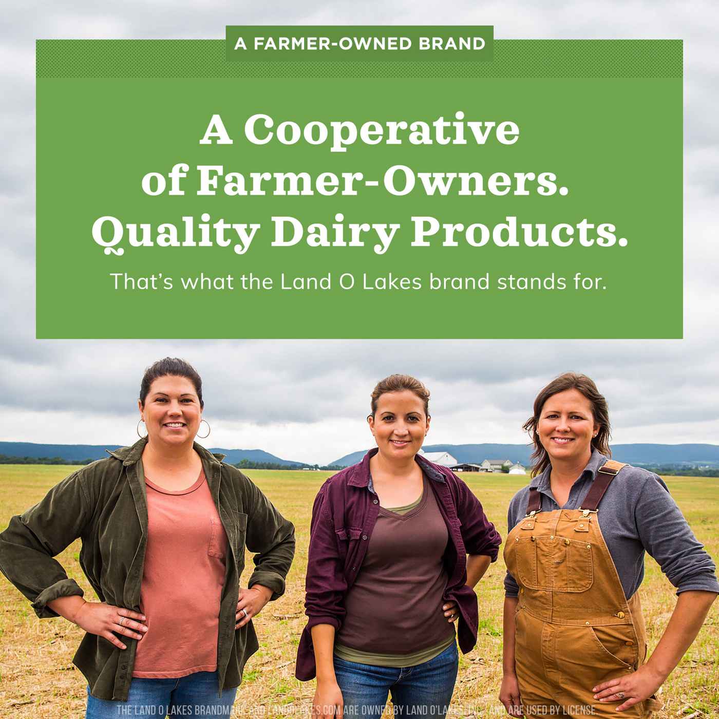 Land O Lakes Mini Moo's Half & Half Creamer Singles; image 2 of 8