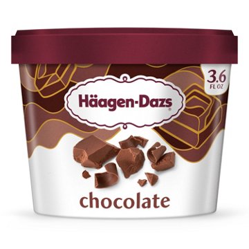 Häagen-Dazs Chocolate Ice Cream Cup