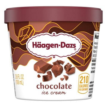 Häagen-Dazs Chocolate Ice Cream Cup
