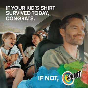 Shout Advanced Grease Busting Foam Laundry Stain Remover, 18 oz