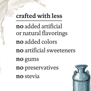Siggi's 0% Non-Fat Strained Skyr Plain Yogurt