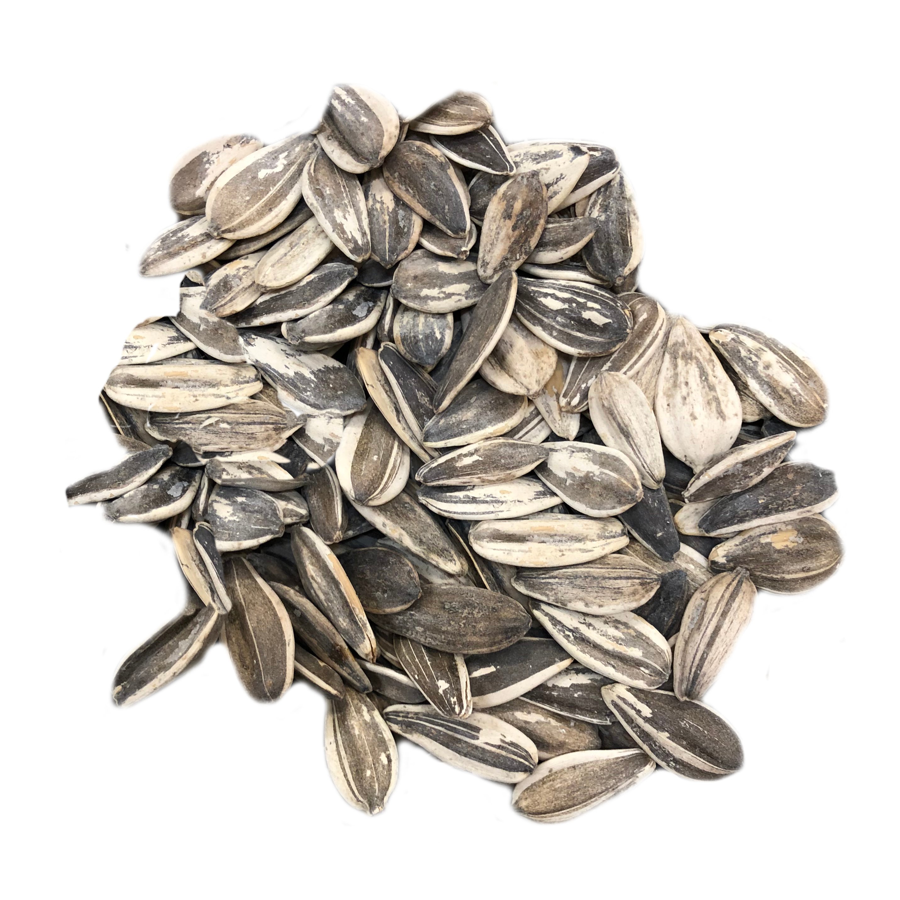 austiNuts Salted & Dry Roasted Israeli Sunflower Seeds Shop Nuts
