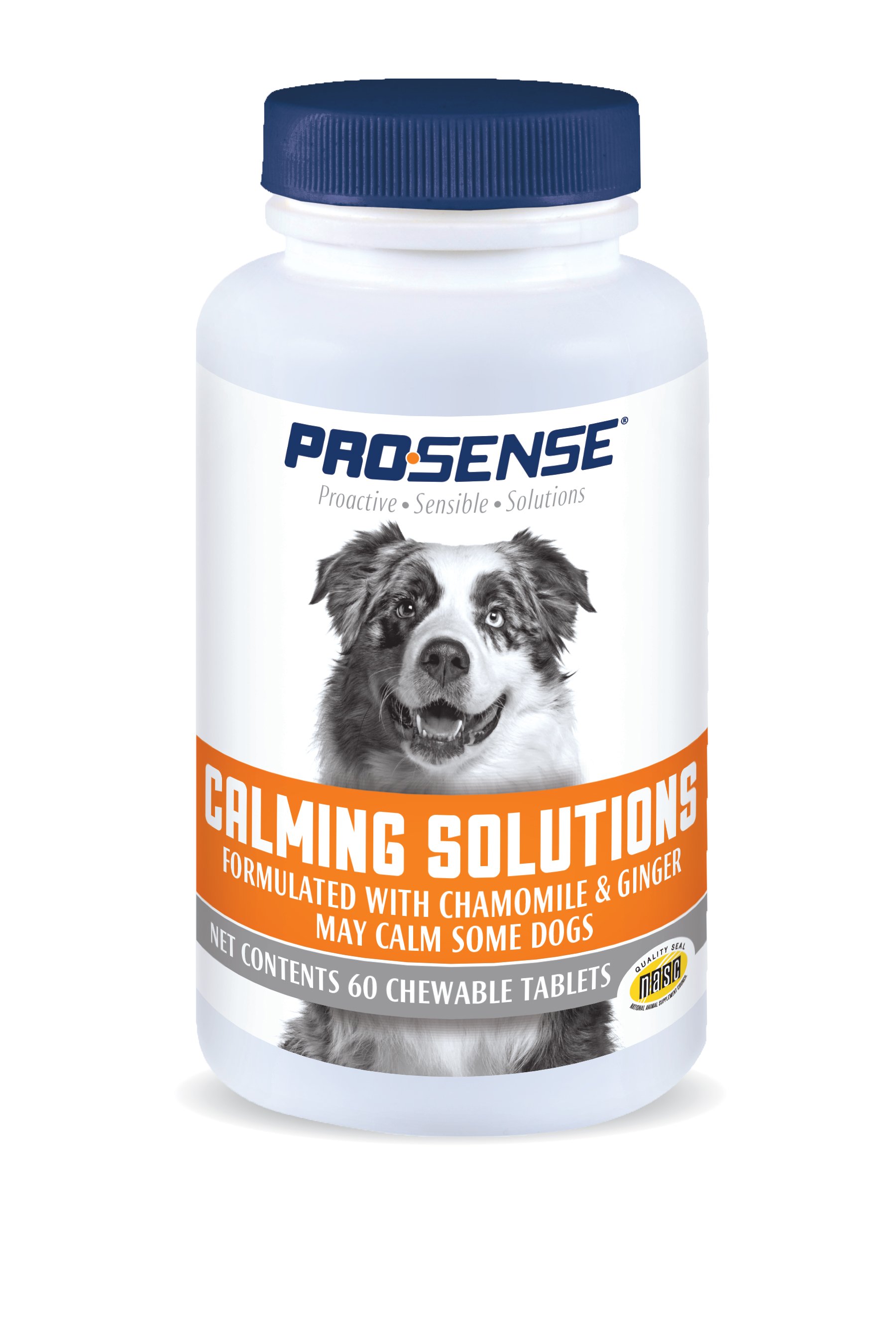 Can Dogs Take Ginger Capsules