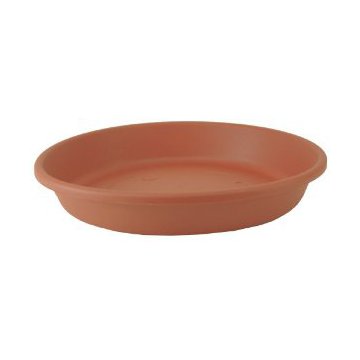 Fiskars Terracotta Tray, 8 in