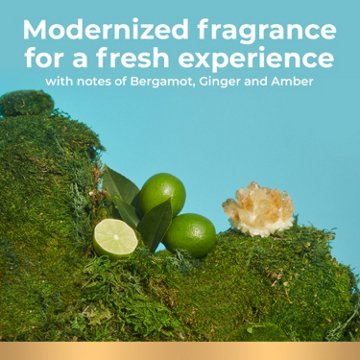 Irish Spring Deodorant Bar Soap for Men - Moisture Blast