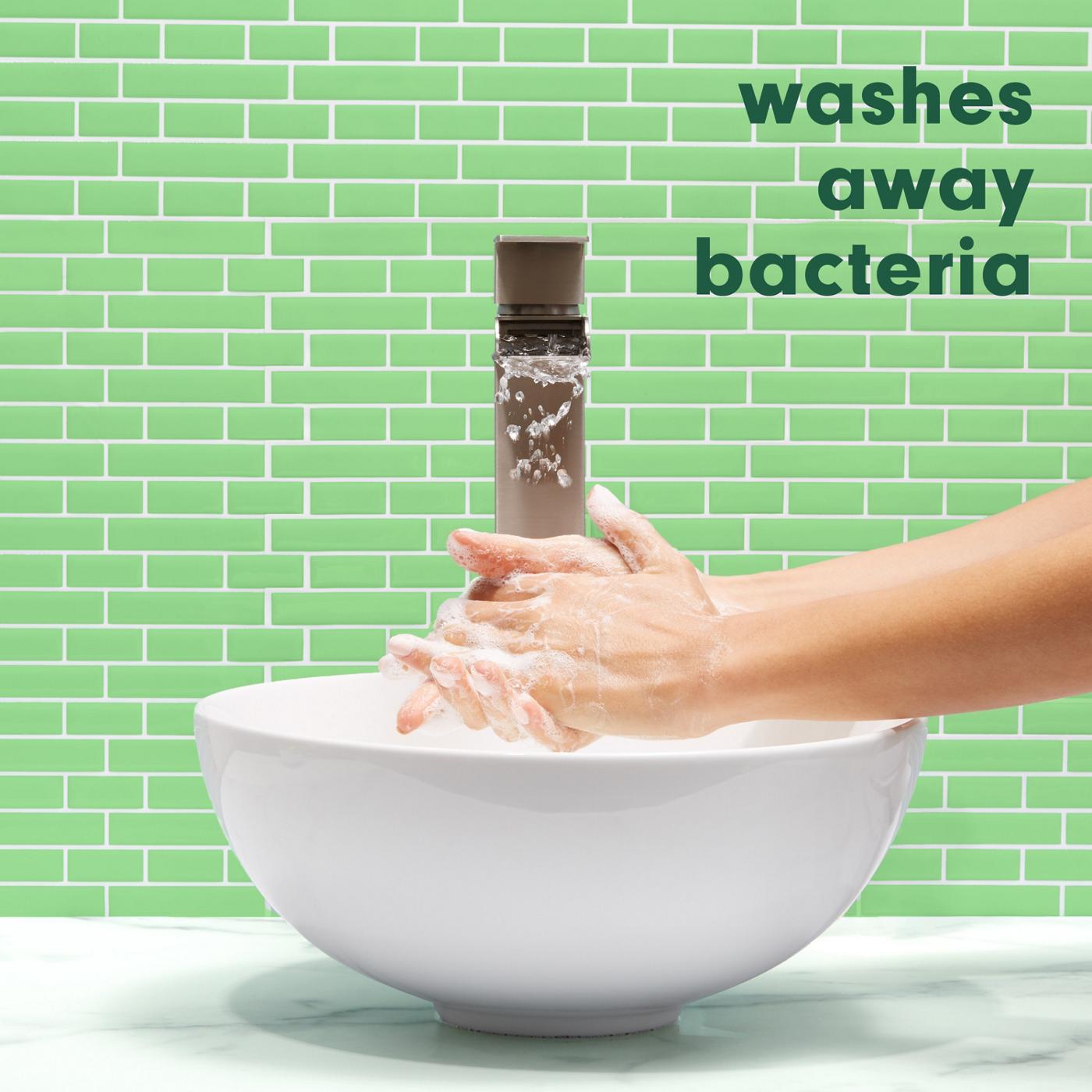 Softsoap Moisturizing Hand Soap Refill Soothing Clean, Aloe Vera