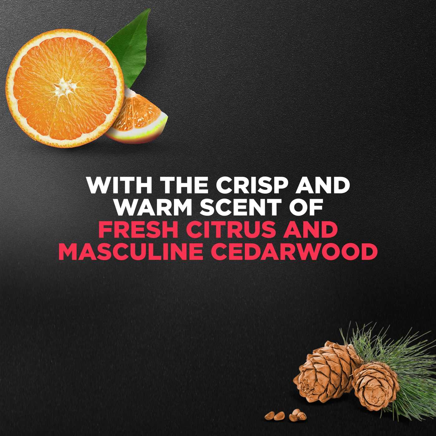 Dove Men+Care Body and Face Wash Exfoliating Deep Clean; image 4 of 5