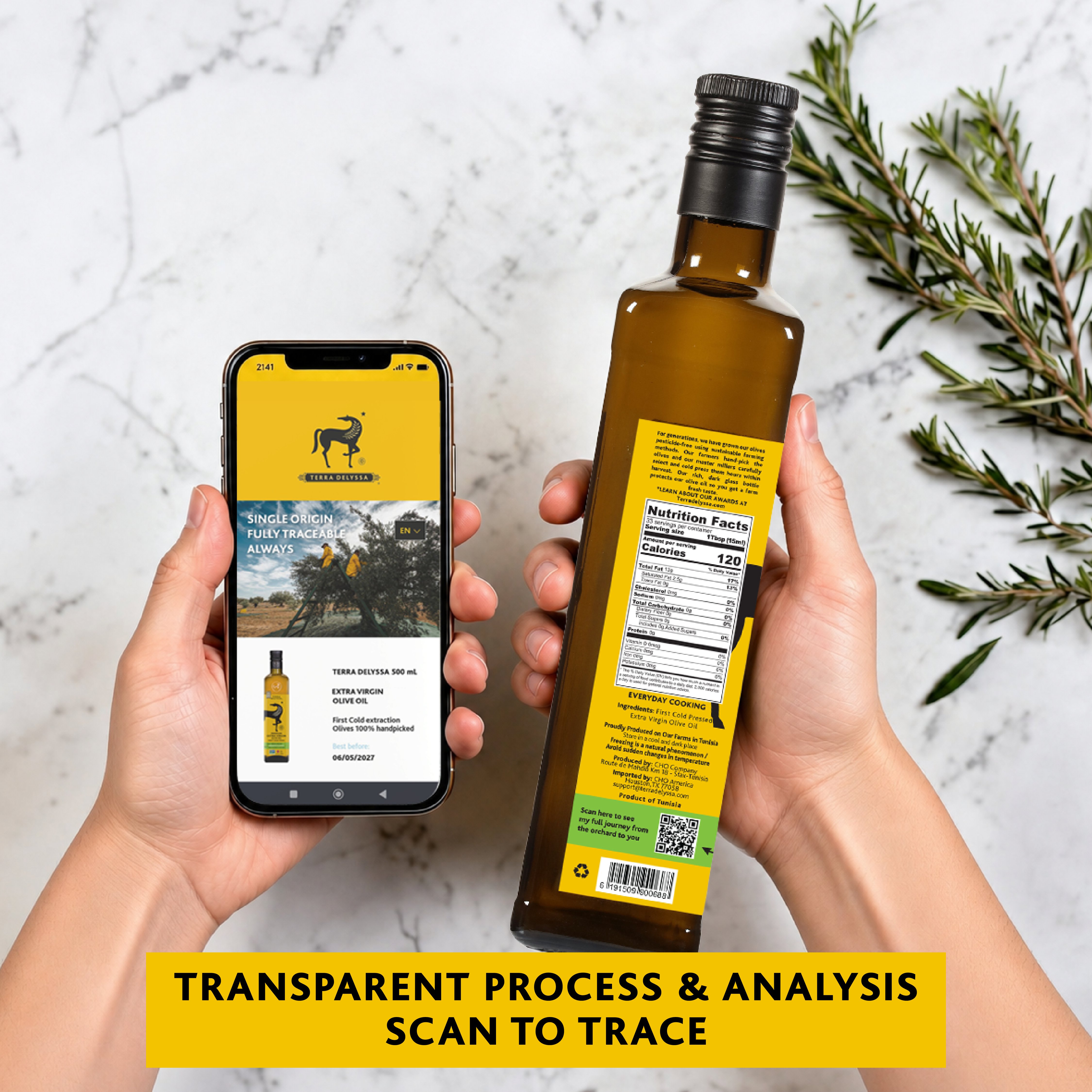 Terra Delyssa Cold Pressed Extra Virgin Olive Oil - Shop Oils at H-E-B