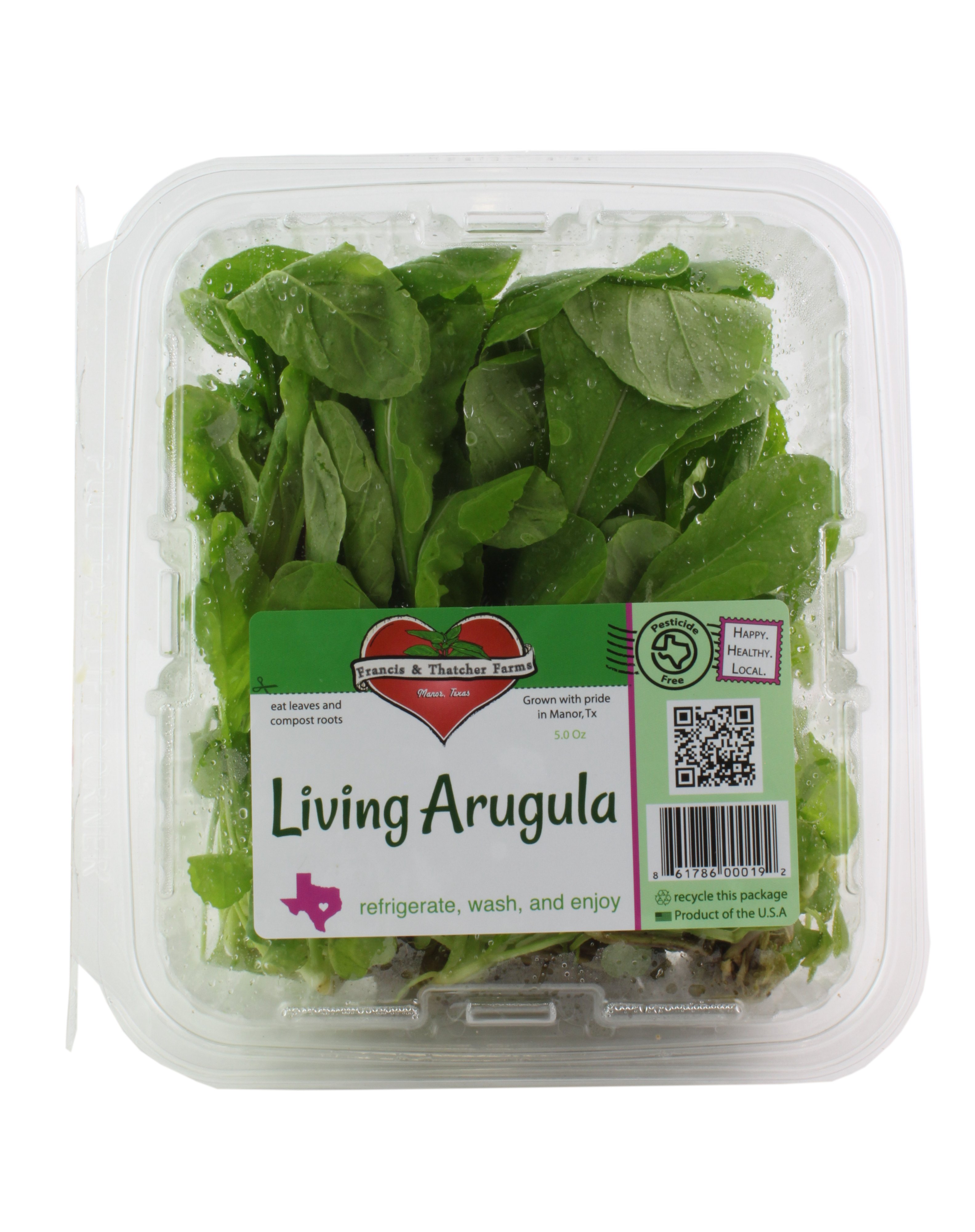 Fresh Texas Hydroponic Arugula Bunch - Shop Lettuce & Leafy Greens at H-E-B