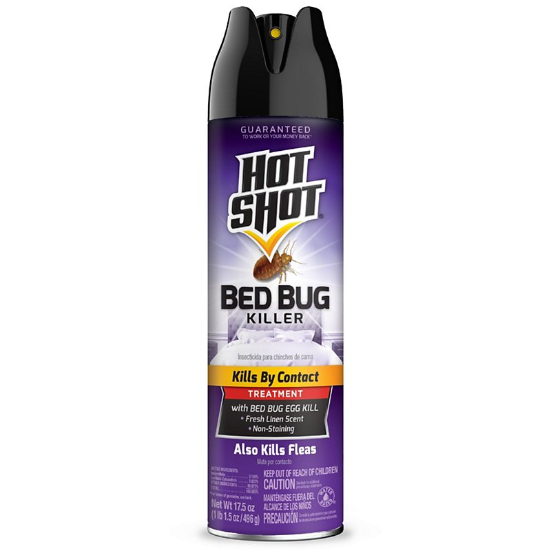 Hot Shot Bedbug & Flea Killer Spray - Shop Insect Killers at H-E-B