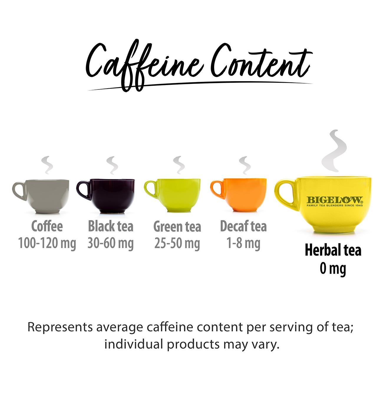 Bigelow Lemon Ginger Herb Plus Probiotics Tea Bags; image 3 of 8