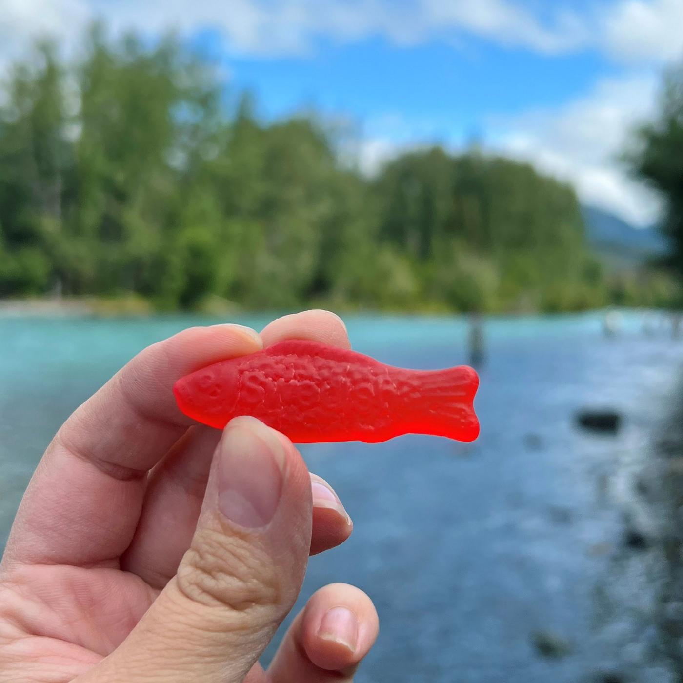 Swedish Fish Soft & Chewy Candy; image 7 of 10