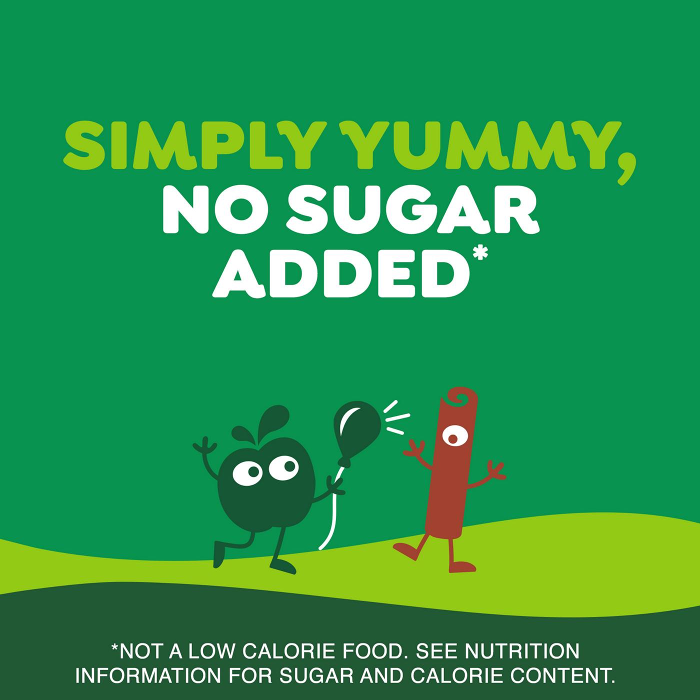 GoGo squeeZ No Sugar Added Apple Cinnamon Applesauce & Fruit Puree Pouches; image 7 of 7