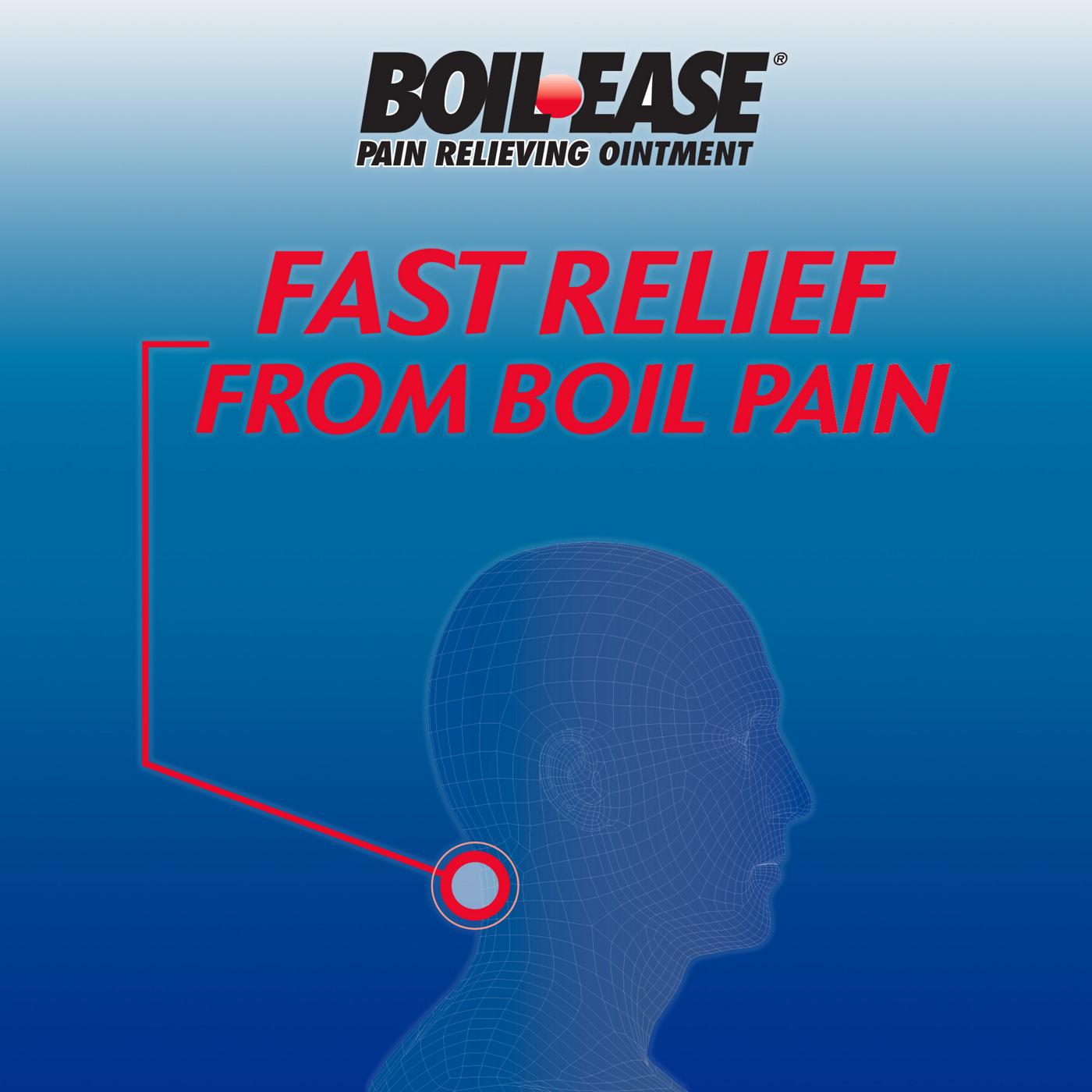Boil-Ease Maximum Strength Pain Relieving Ointment; image 3 of 5