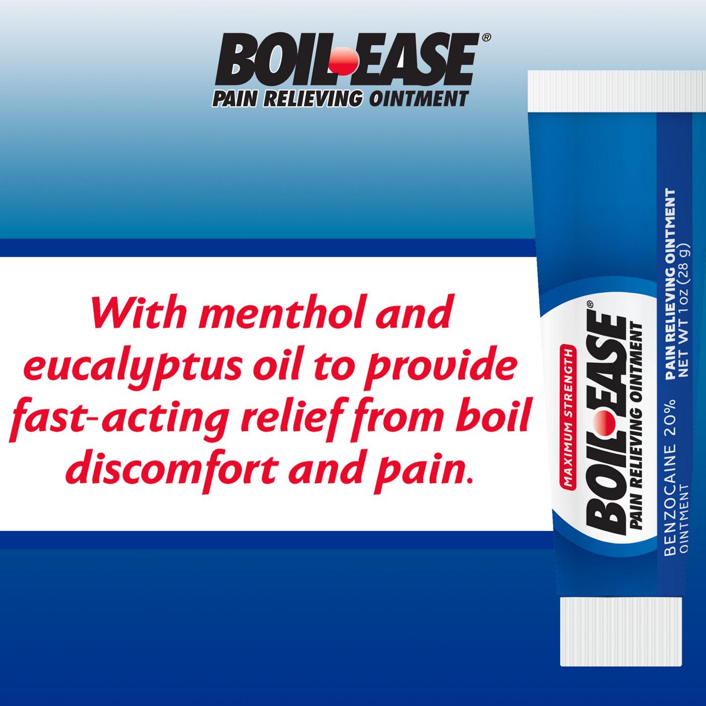 Boil-Ease Maximum Strength Pain Relieving Ointment; image 5 of 5