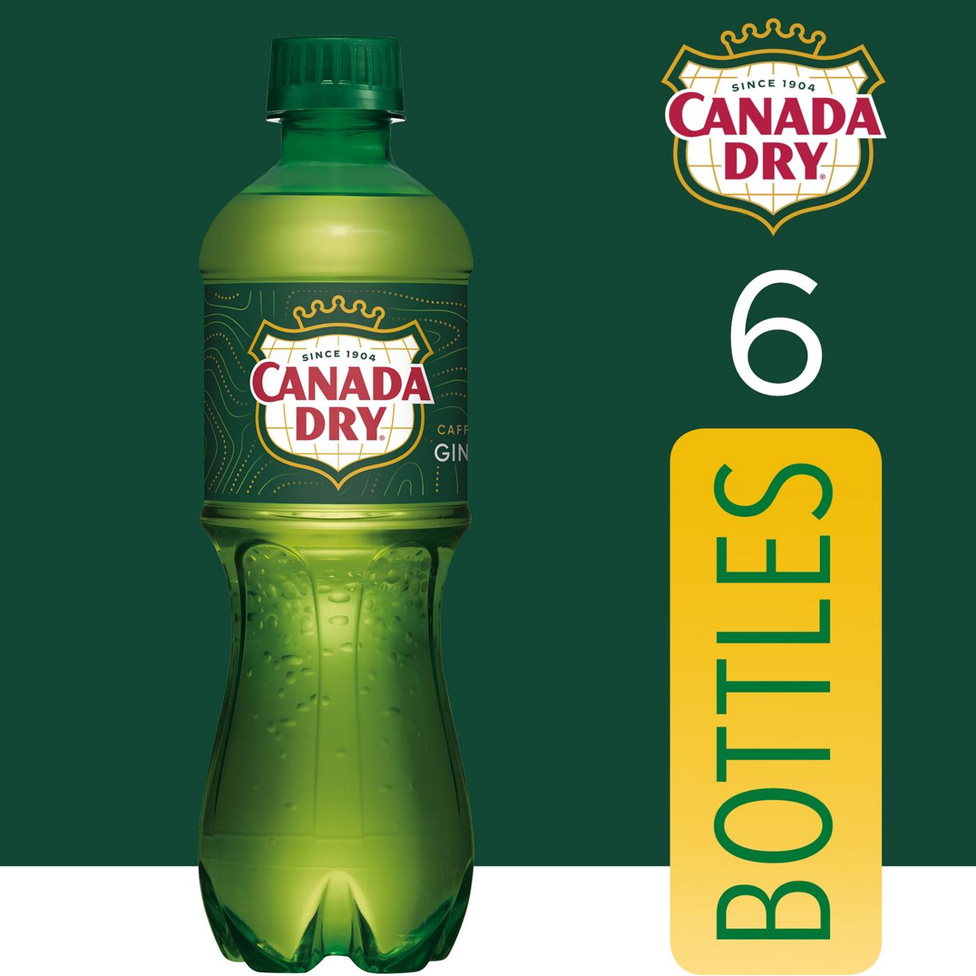 Canada Dry Ginger Ale Soda 6 pk Bottles; image 4 of 6