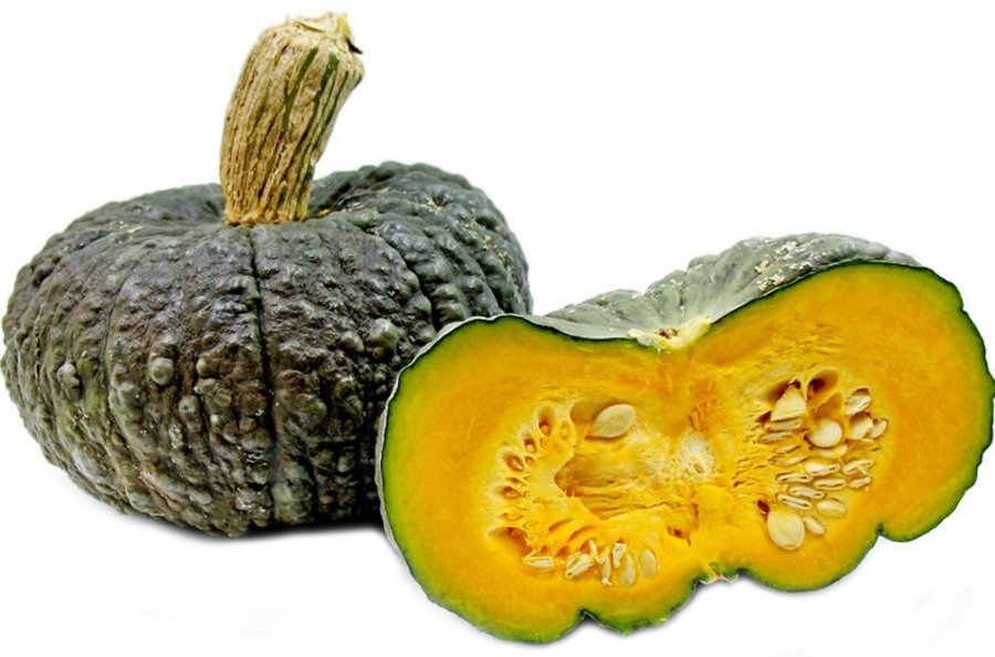 Marina Di Chioggia Pumpkin - Shop Squash & Pumpkins at H-E-B