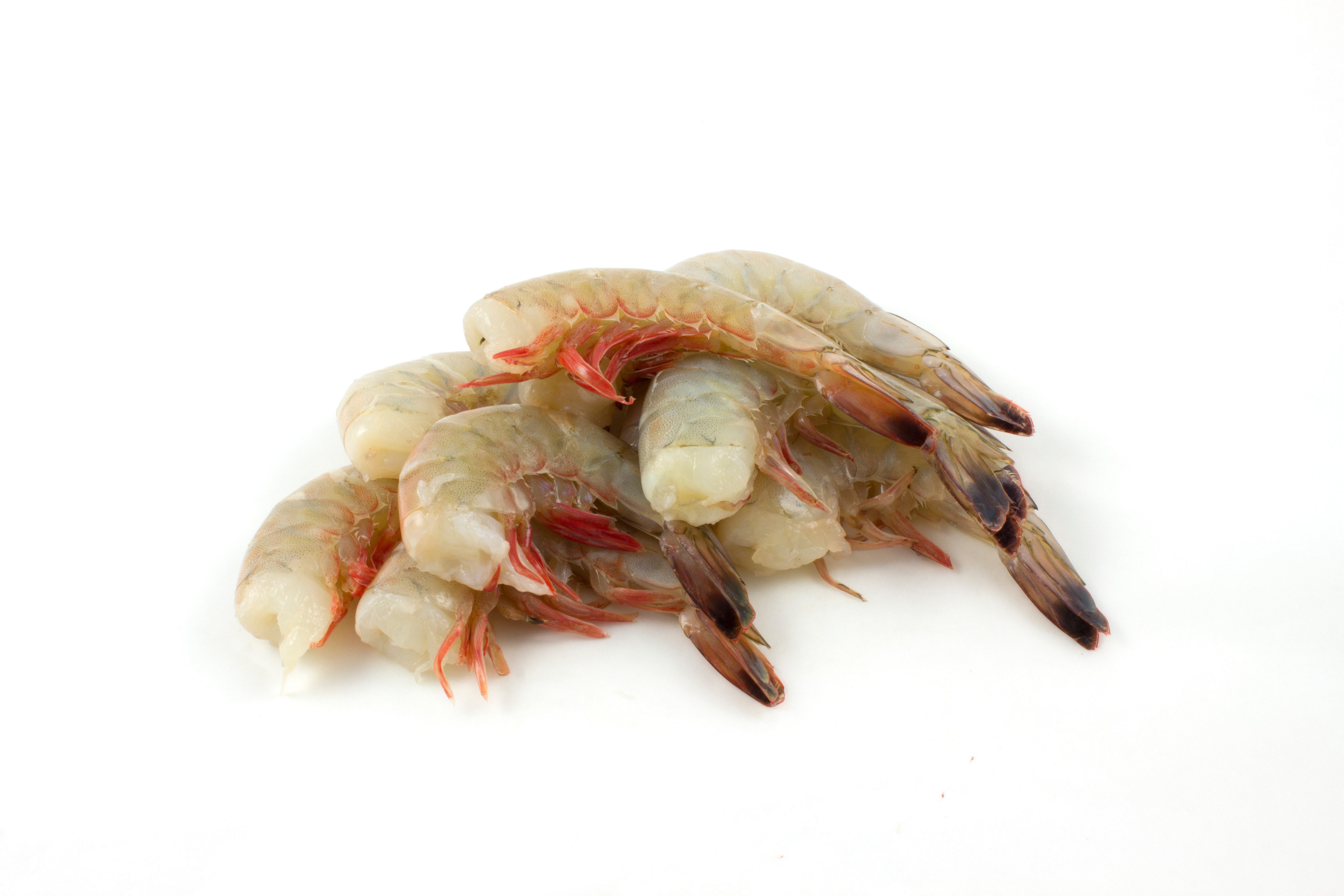 H E B Wild Caught Shell On Colossal Gulf White Raw Shrimp 10 12 Ct