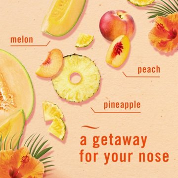 Febreze Plug Scented Oil Refills - Hawaiian Aloha