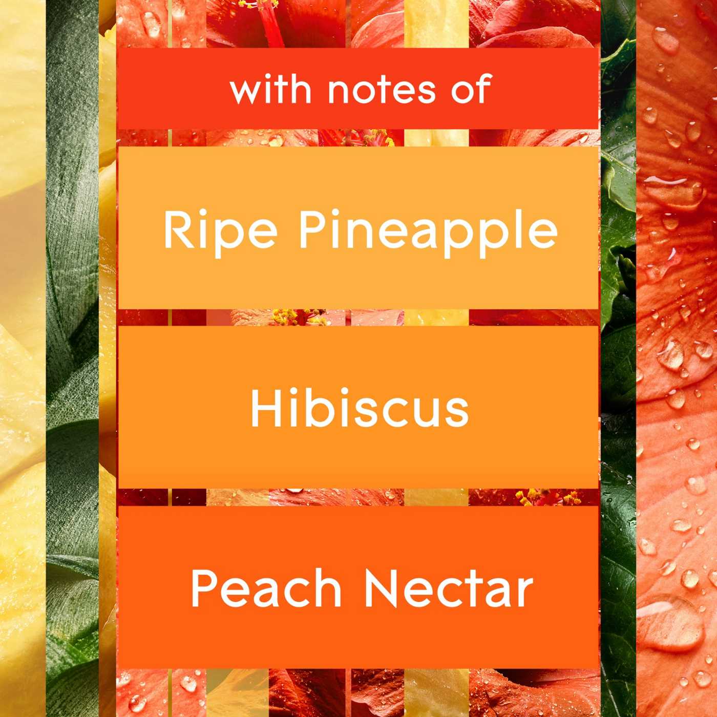 Glade Automatic Spray Refill Air Freshener - Hawaiian Breeze; image 10 of 10