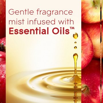 Glade Automatic Spray Refill Air Freshener - Apple Cinnamon, 6.2 oz