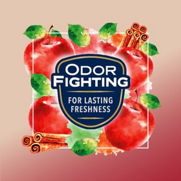 Glade Automatic Spray Refill Air Freshener - Apple Cinnamon, 6.2 oz