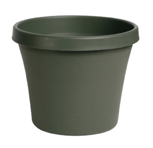 BLOEM Terra Pot Planter - Shop Pots & Planters At H-E-B